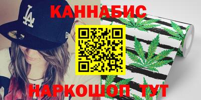 спайс Кингисепп