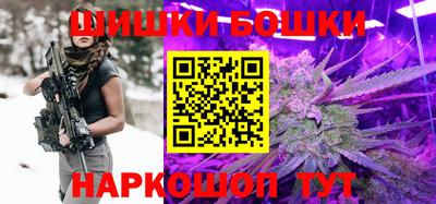спайс Кингисепп