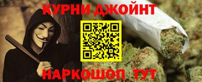 спайс Кингисепп
