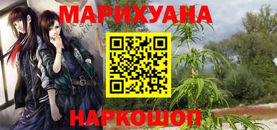 спайс Кингисепп