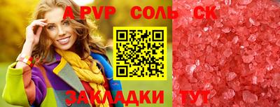 спайс Кингисепп