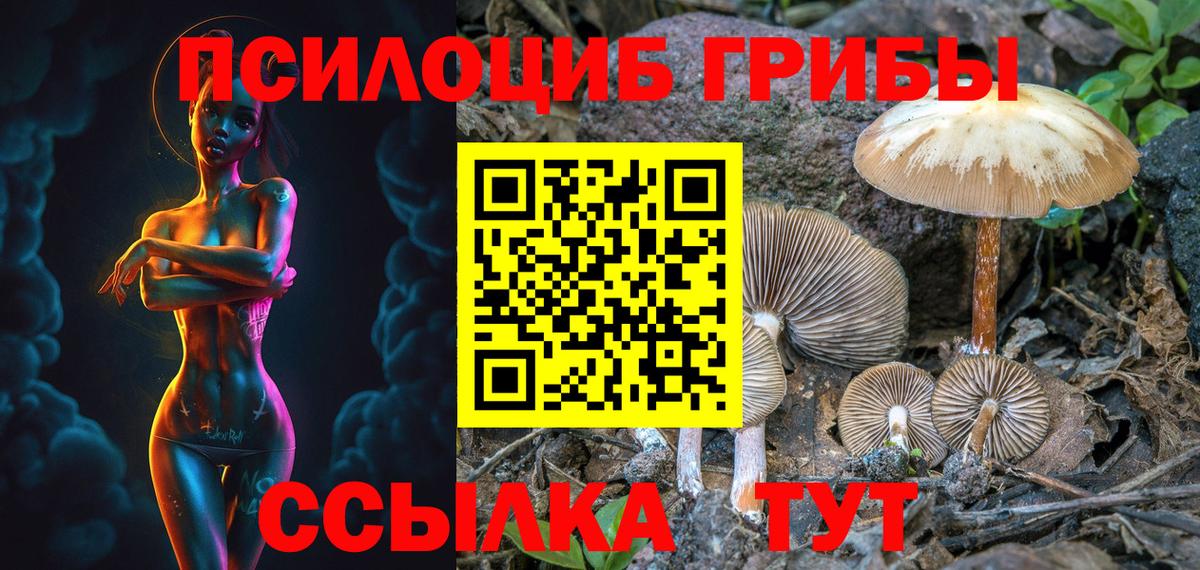 Псилоцибиновые грибы Cubensis  Псилоцибиновые грибы Psilocybe  Вход с VPN  Кудымкар 
