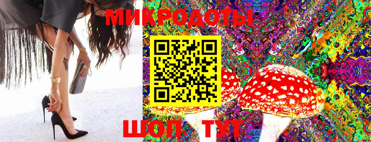 Псилоцибиновые грибы прущие грибы Кудымкар